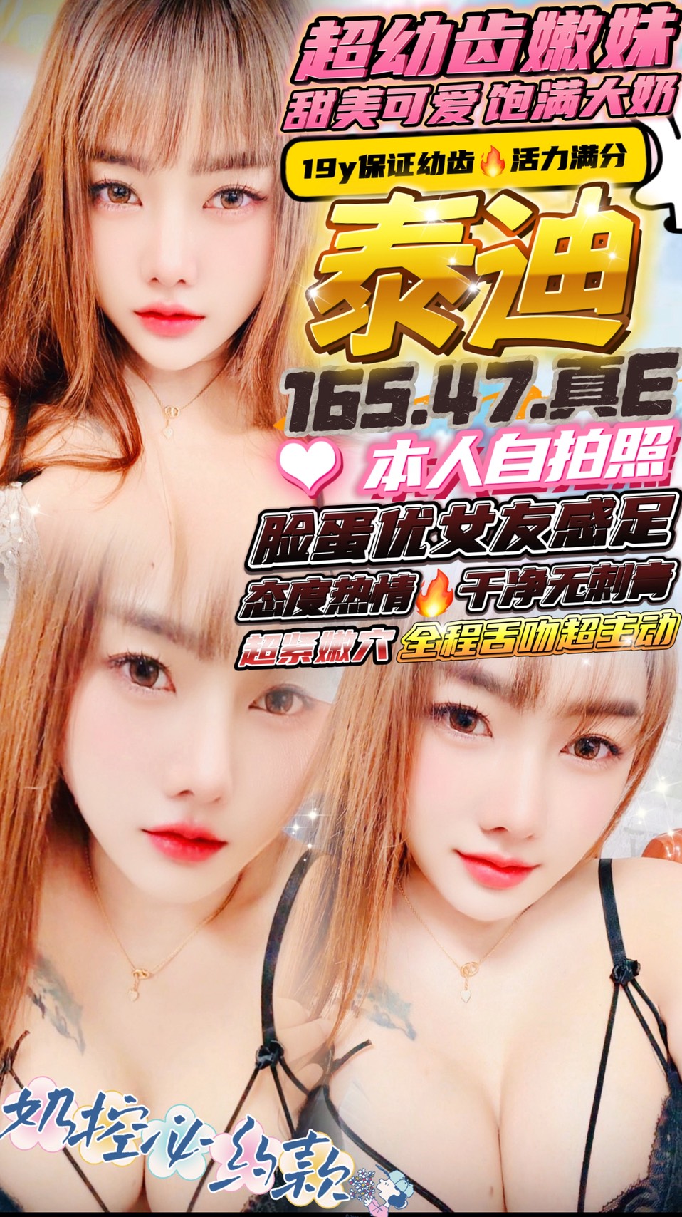 泰迪(中正路-圓環)-雙飛-三飛